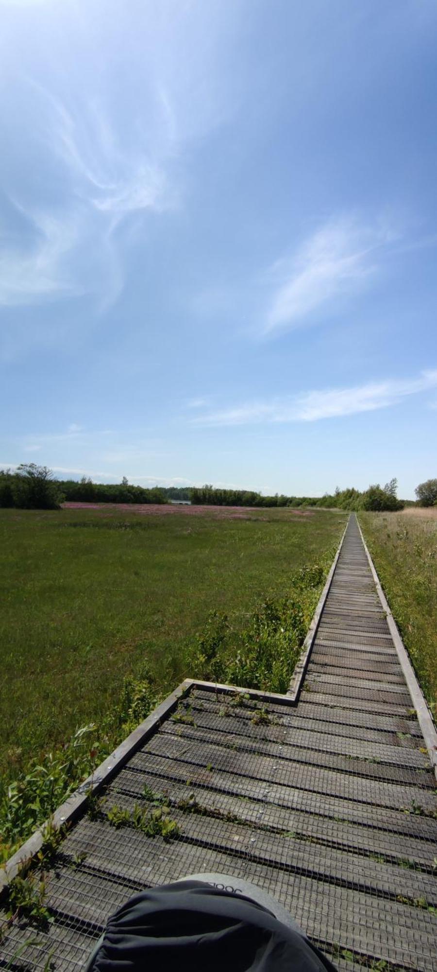 Mobilheim Herz Lauwersoog - Chalet Robbengat Exteriér fotografie